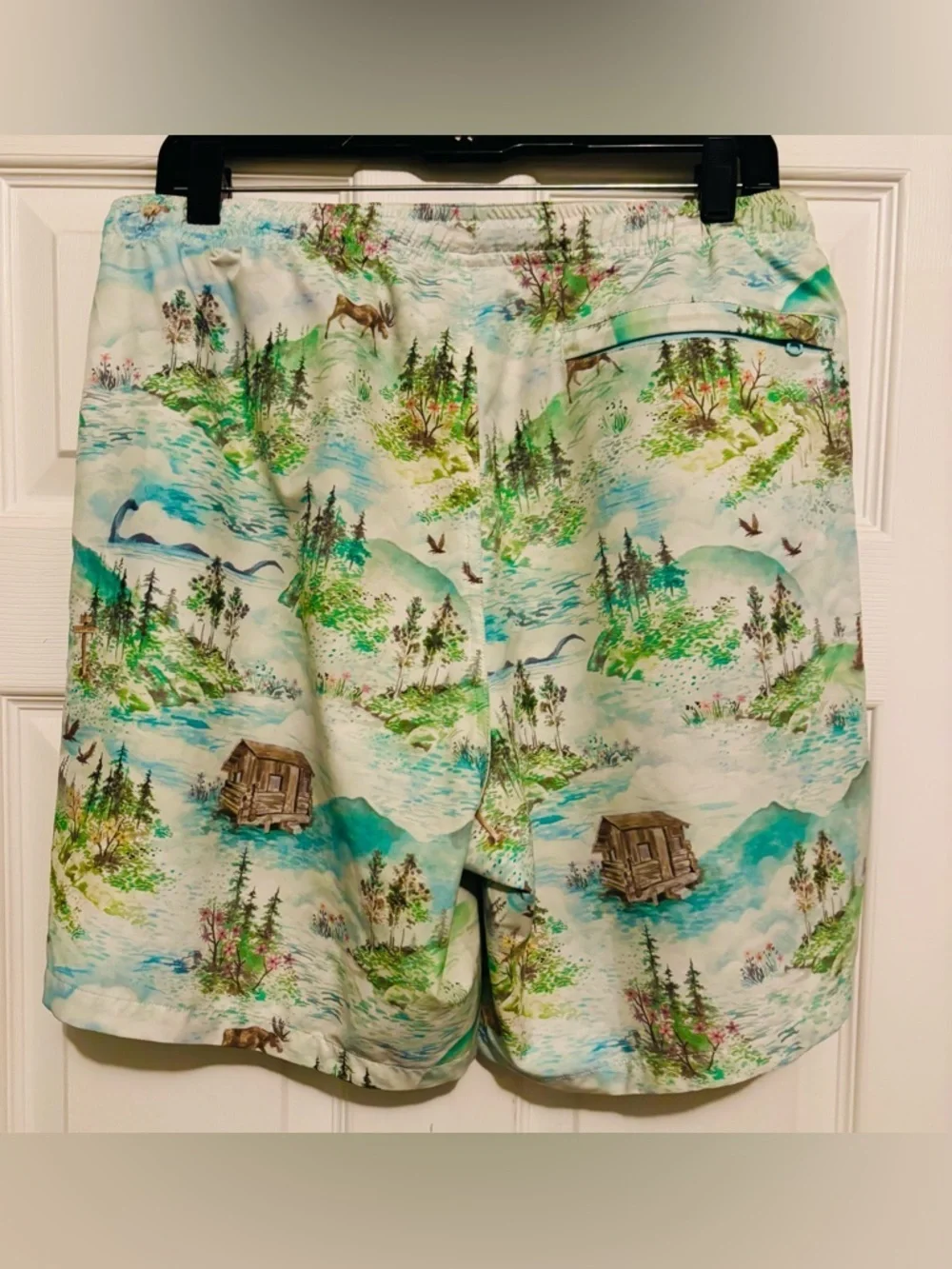 Burton Men's Creekside Green Unlined Swim Trunks Short Size: XL